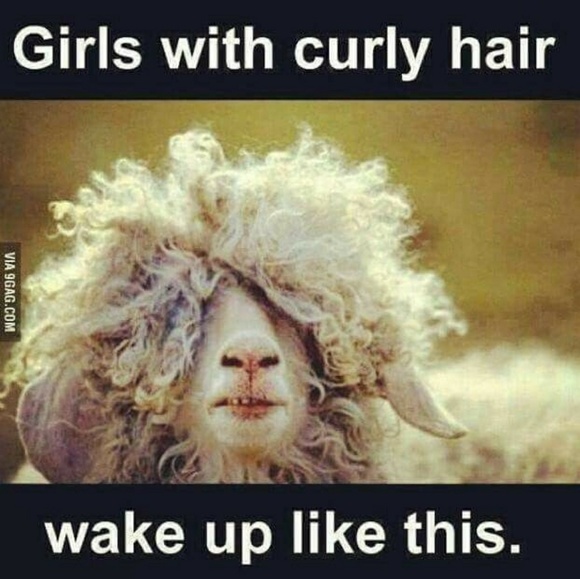 Meet your Posher, Holly - Picture 1 of 1